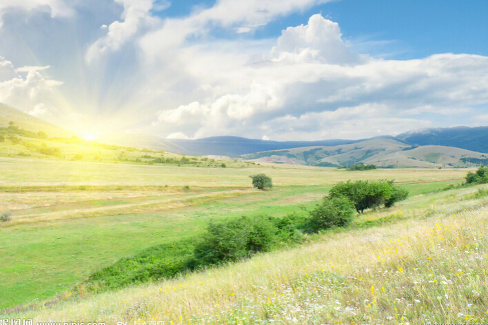 不同環境對壓力開關的不同影響